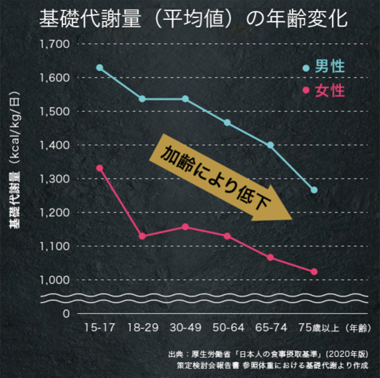 年齢による代謝低下